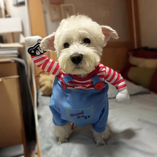 Creepy doll Halloween dog costume